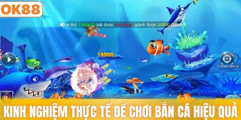 Kinh nghiệm thực tế để chơi bắn cá hiệu quả