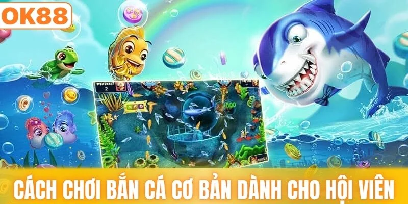 Những cách chơi bắn cá cơ bản dành cho hội viên