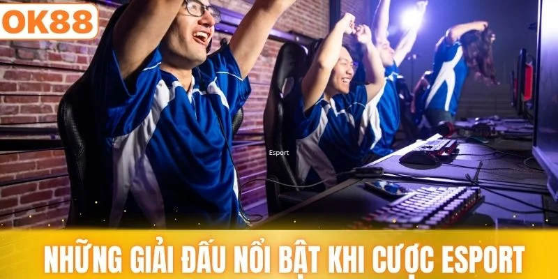 Những giải đấu nổi bật khi cược Esport tại nhà cái OK88