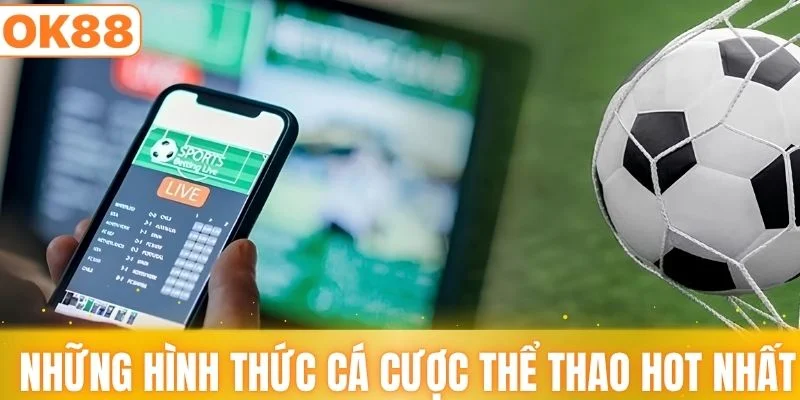 Những hình thức cá cược thể thao hot nhất 2026