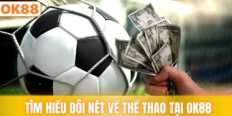 Tìm hiểu đôi nét về thể thao tại OK88