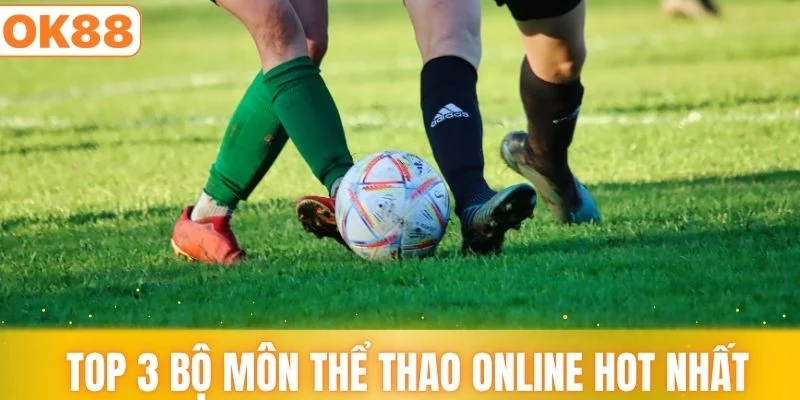 Top 3 bộ môn thể thao online hot nhất tại OK88